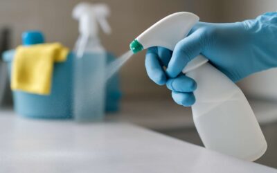 Understanding the Hindi Meaning of Disinfectant for Better Hygiene Choices