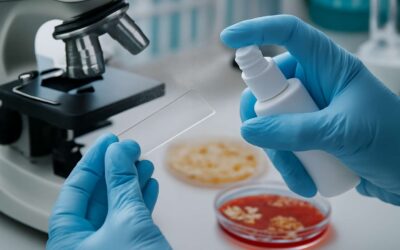 Understanding the Critical Role of Disinfectant in Microbiology for Effective Microbial Control