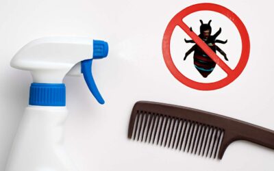 Is it true that will disinfectant spray kill lice, and what are safer options?