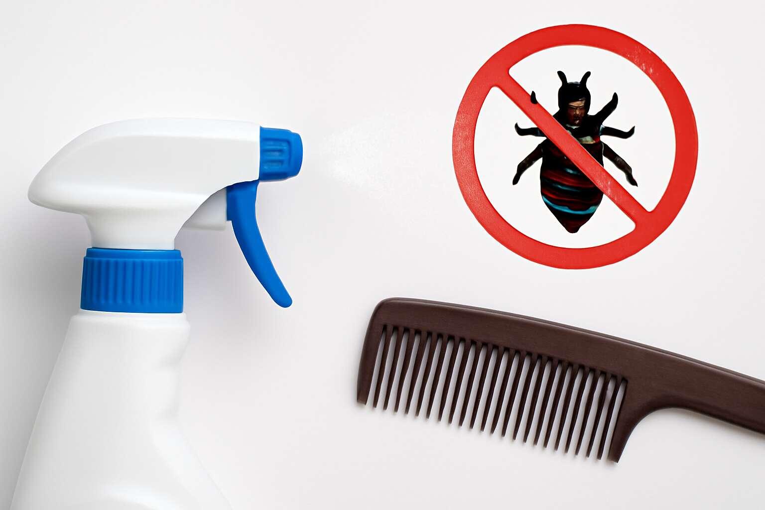 generated_image_6a0f626adedcb.jpg will disinfectant spray kill lice